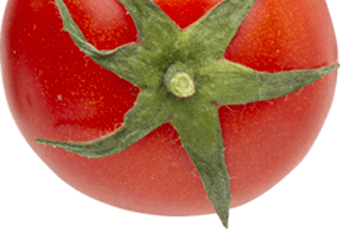 Tomate