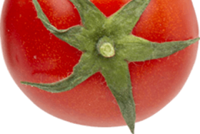 Tomate